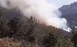 Menderes’te korkutan orman yangını