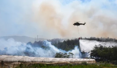 İzmir’in Menderes ilçesinde ormanlık alanda çıkan yangına havadan ve karadan müdahale ediliyor.