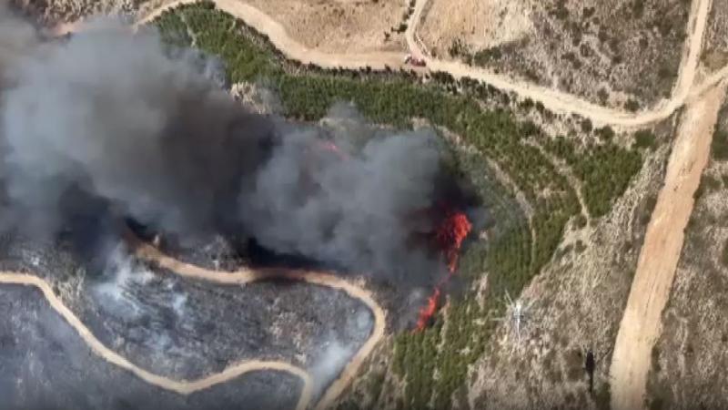 İzmir’de orman yangını: 3 ölü