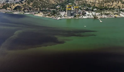 İzmir Körfezi’ndeki balık ölümleriyle ilgili inceleme başlatıldı