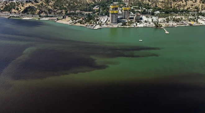 İzmir Körfezi’ndeki balık ölümleriyle ilgili inceleme başlatıldı