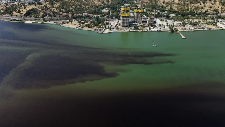 İzmir Körfezi’ndeki balık ölümleriyle ilgili inceleme başlatıldı