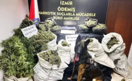 İzmir’de 38 kilo 750 gram esrar ele geçirildi