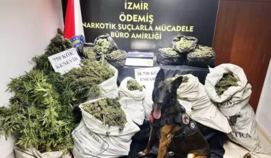 İzmir’de 38 kilo 750 gram esrar ele geçirildi