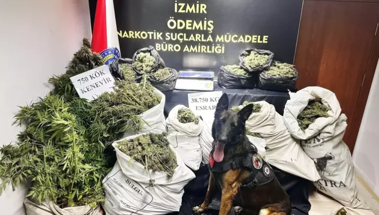 İzmir’de 38 kilo 750 gram esrar ele geçirildi